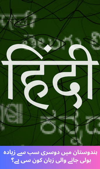 Which is the most widely spoken language in India after Hindi?